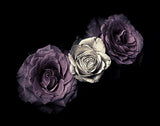Roses Poster och Canvastavla