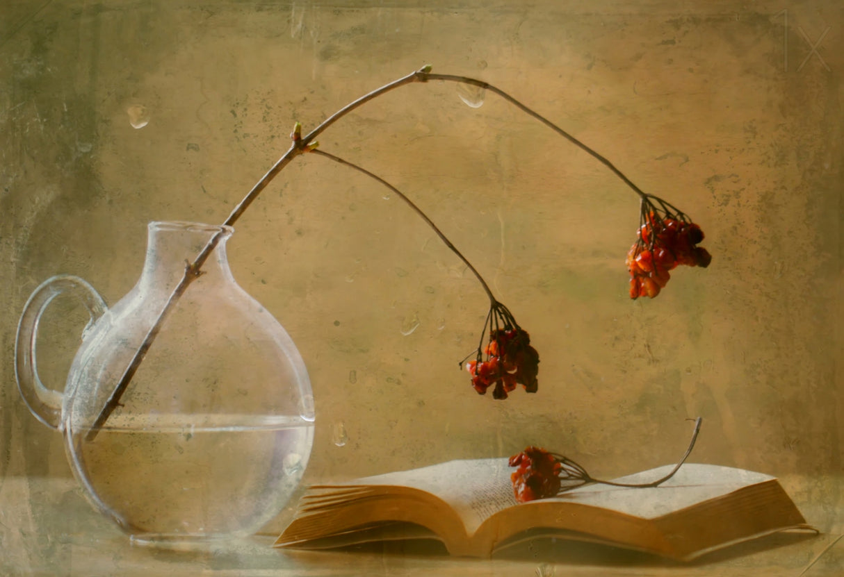 A book Poster och Canvastavla
