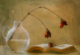 A book Poster och Canvastavla