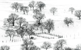 Bashang Winter Poster och Canvastavla
