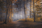 October Days Poster och Canvastavla
