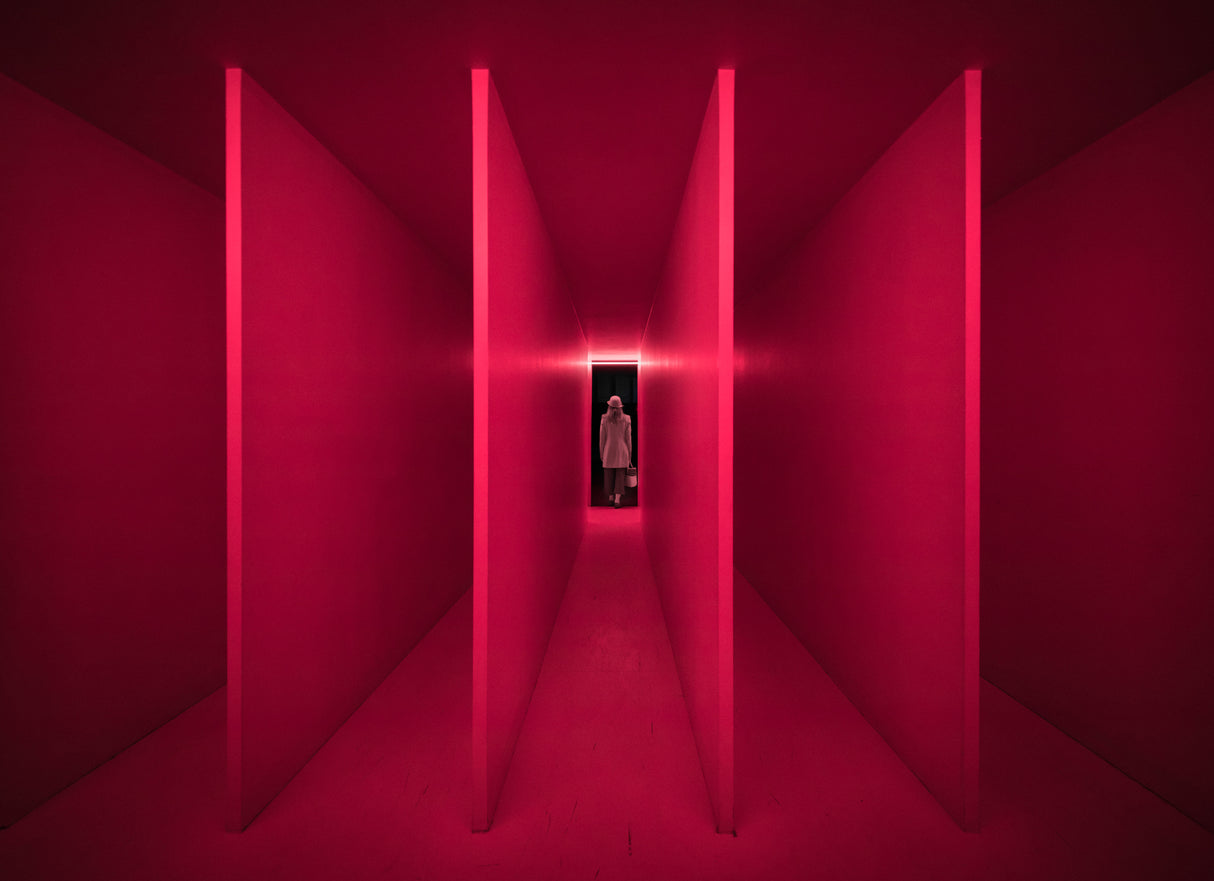 Red dimension Poster och Canvastavla