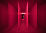 Red dimension Poster och Canvastavla