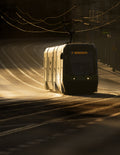 Golden urban morning Poster och Canvastavla