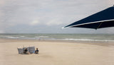 In quarantine on the beach... Poster och Canvastavla