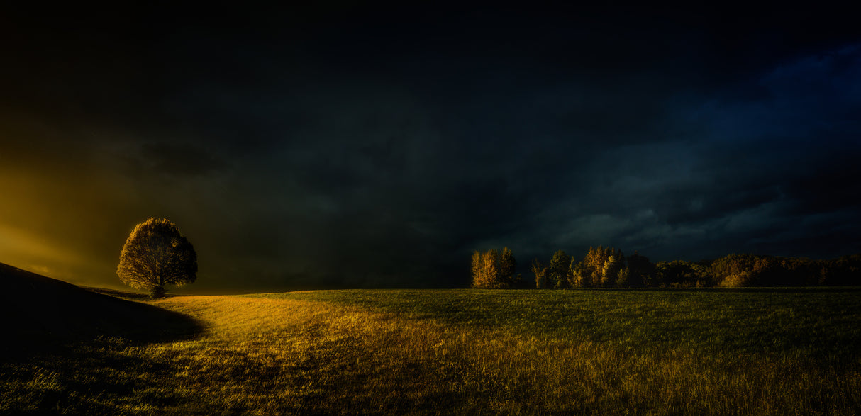 when the light comes Poster och Canvastavla