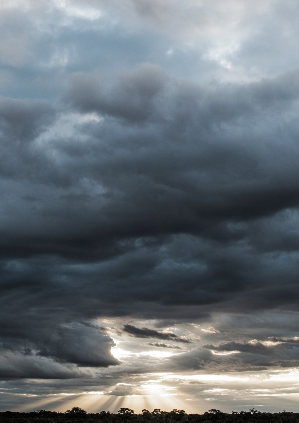 African Skies Poster och Canvastavla