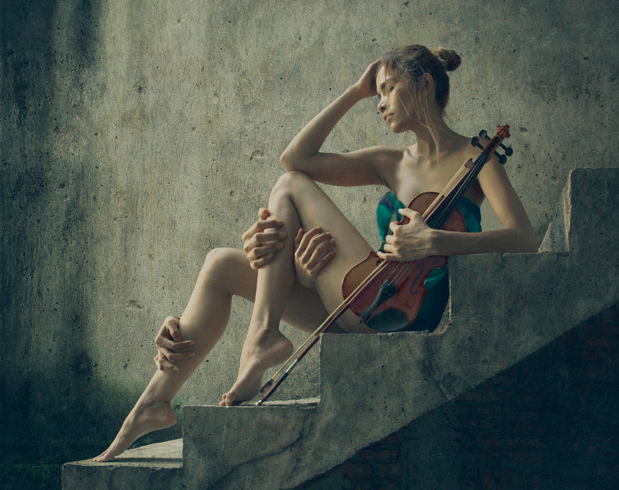 The Violist Poster och Canvastavla