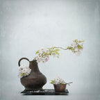 Spring impression . Poster och Canvastavla