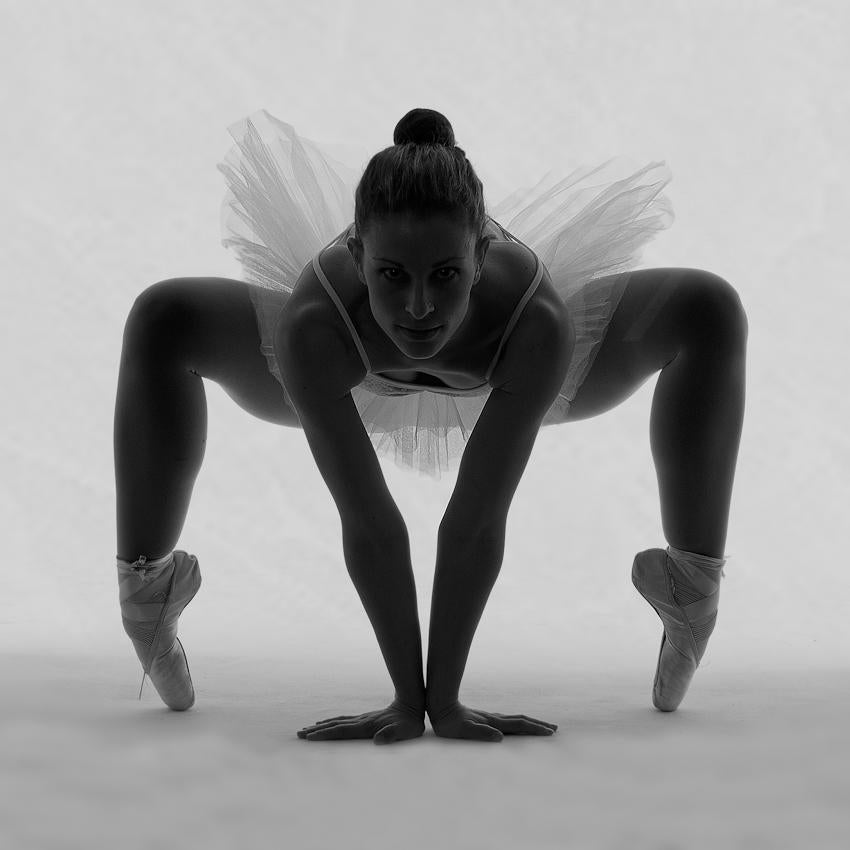 Ballerina Poster och Canvastavla