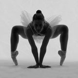 Ballerina Poster och Canvastavla