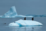 Transportation in Antarctica Poster och Canvastavla