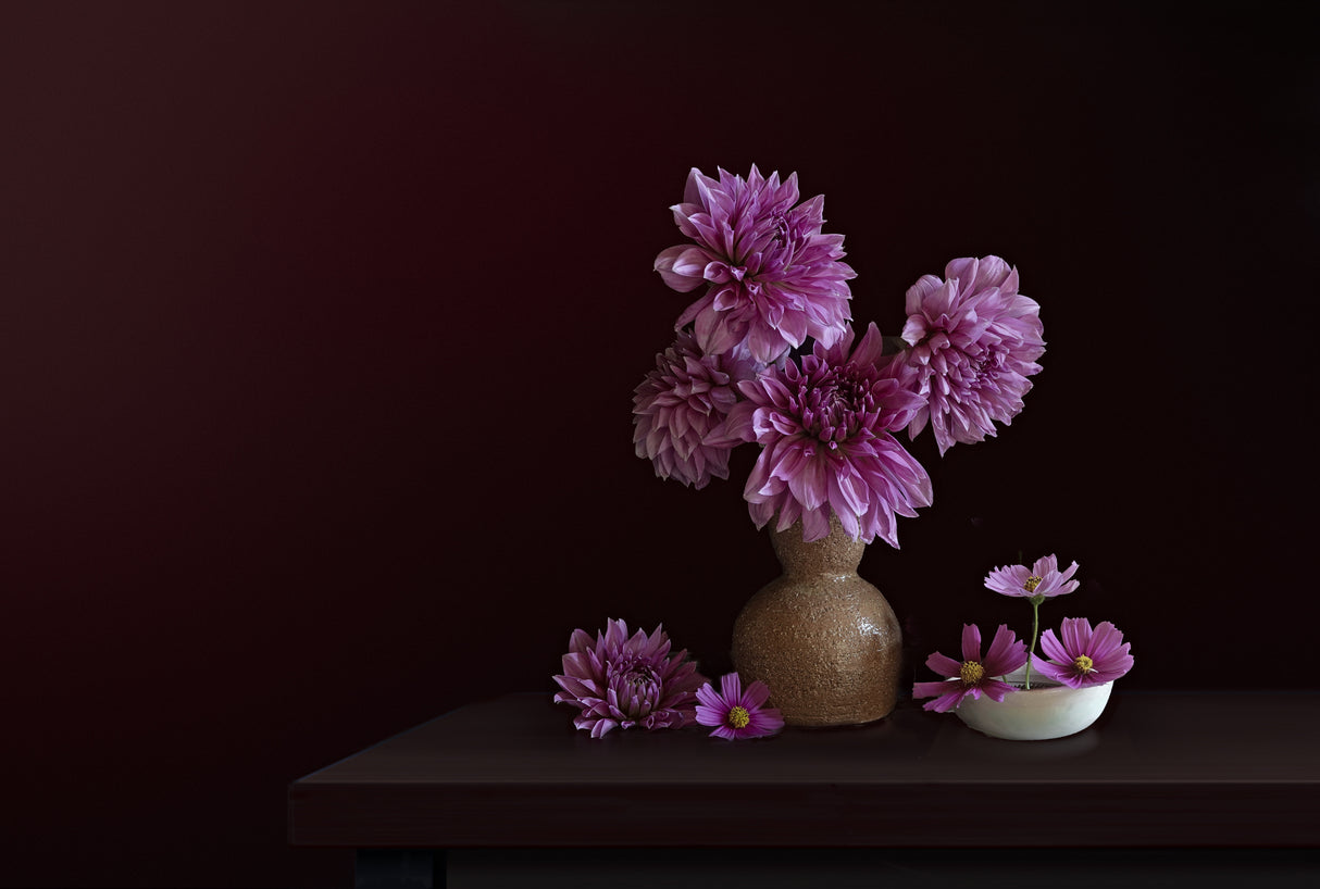 Still Life 2334 Poster och Canvastavla