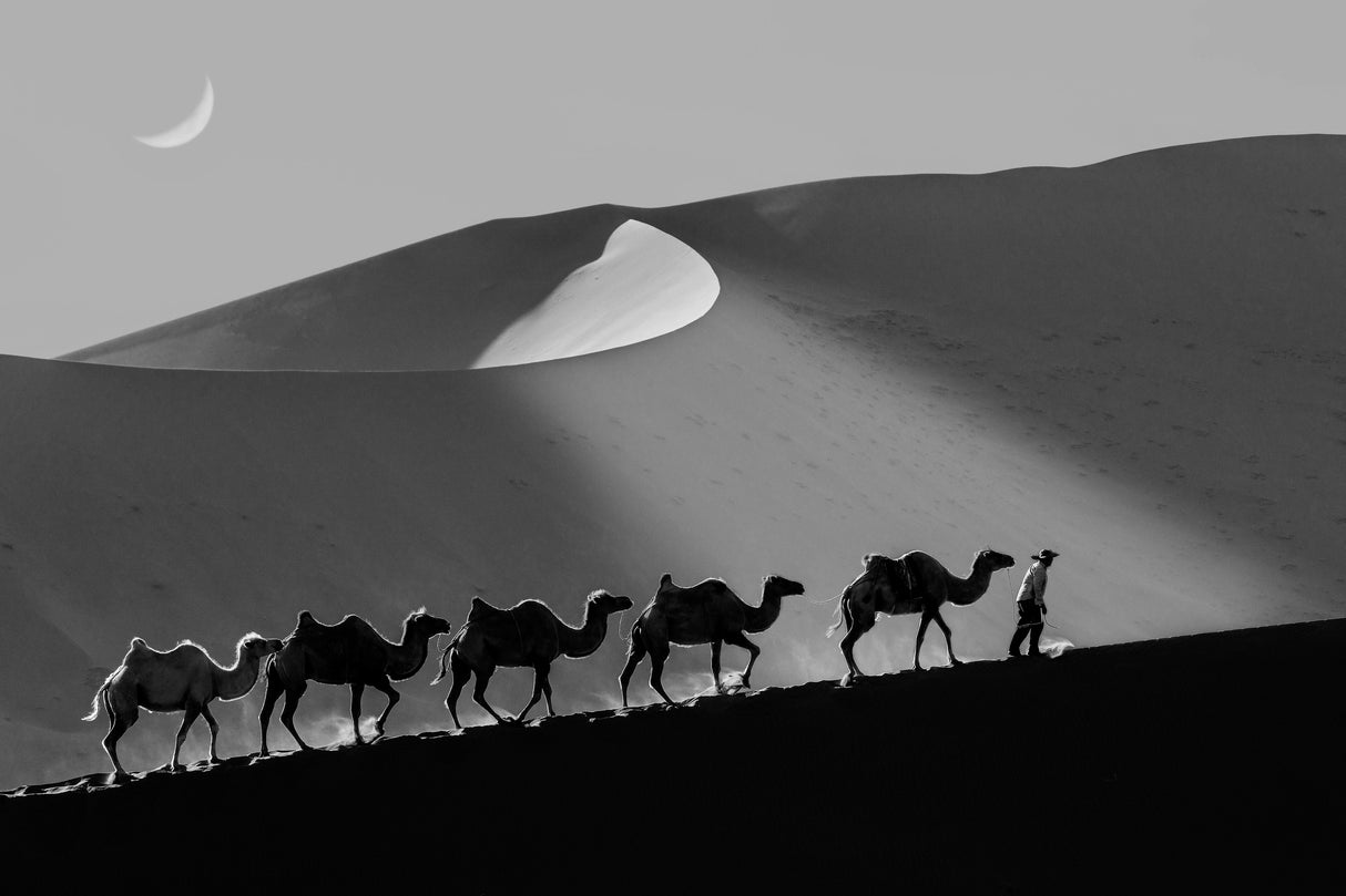 Badain Jaran Desert-2 Poster och Canvastavla