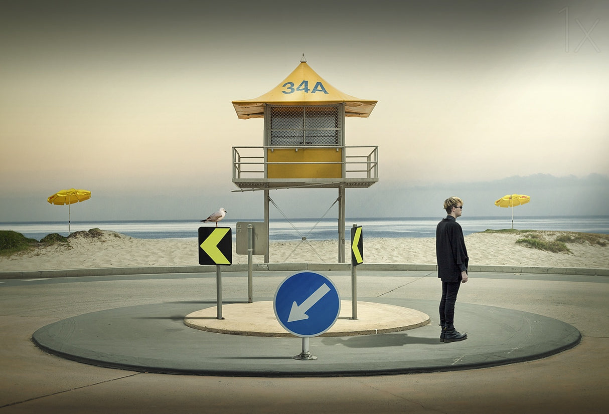 The roundabout Poster och Canvastavla
