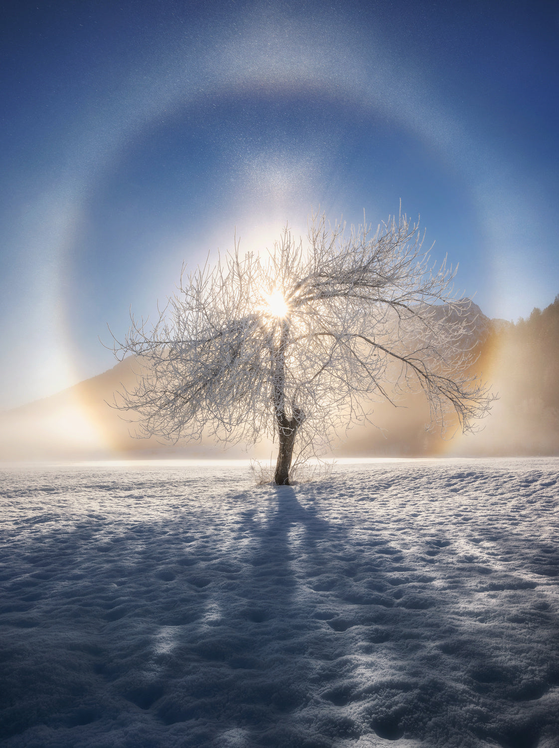 Ring of frost Poster och Canvastavla
