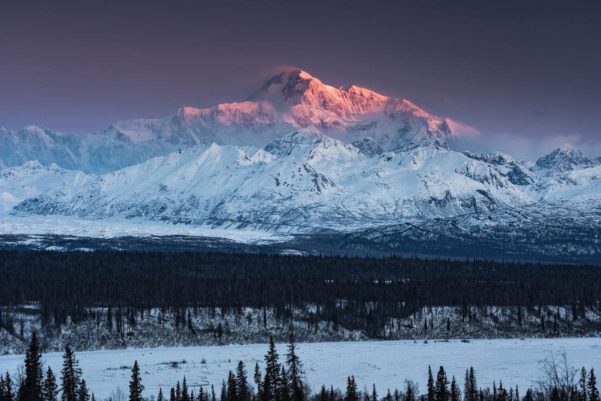 Mount Denali Poster och Canvastavla