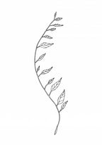 Wavy Branch White Poster och Canvastavla