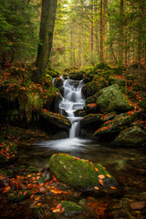 Autumn landscape on the Black stream Poster och Canvastavla