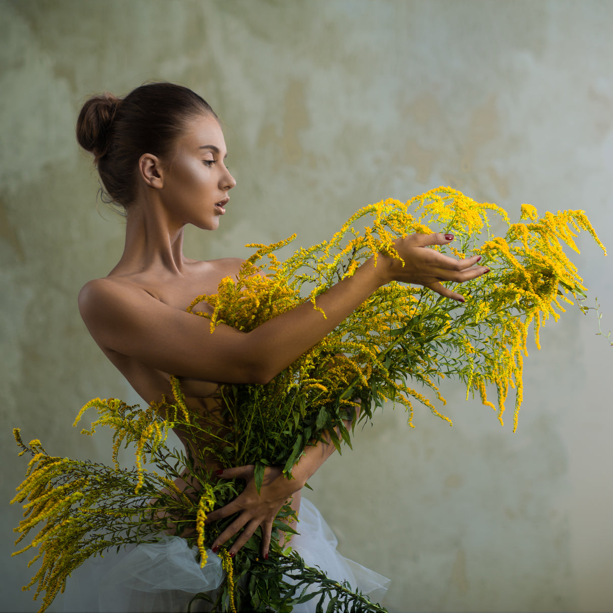 Solidago virgaurea Poster och Canvastavla