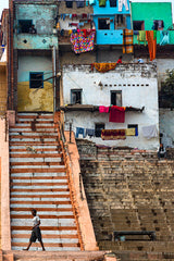 Glimpses along the banks Poster och Canvastavla