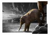 The Push Poster och Canvastavla