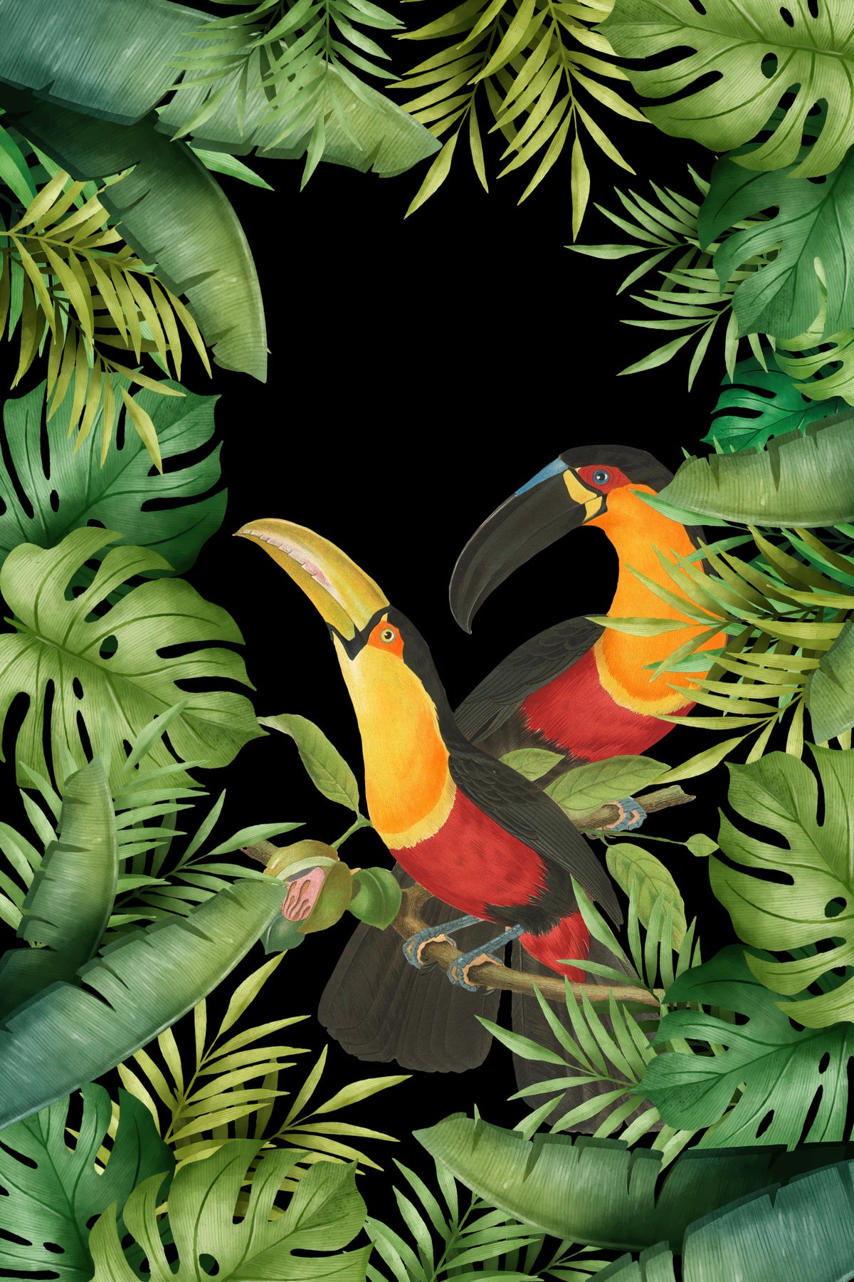Jungle With Toucans Poster och Canvastavla