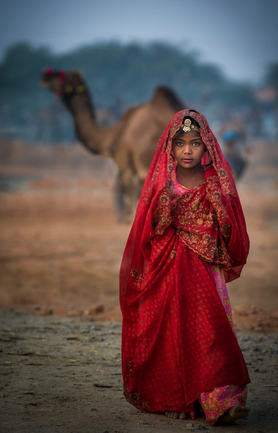 Nomad girl in red dress Poster och Canvastavla