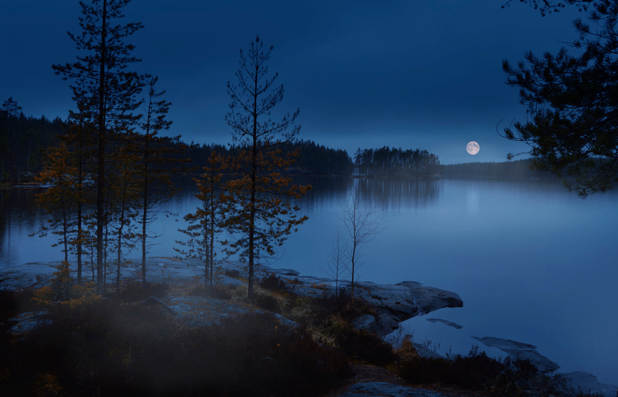 Night mist Poster och Canvastavla