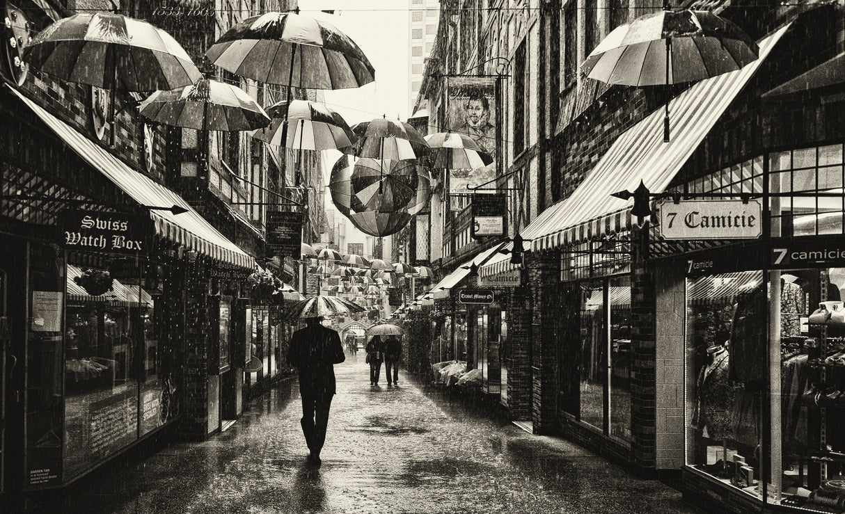 The day it rained forever Poster och Canvastavla