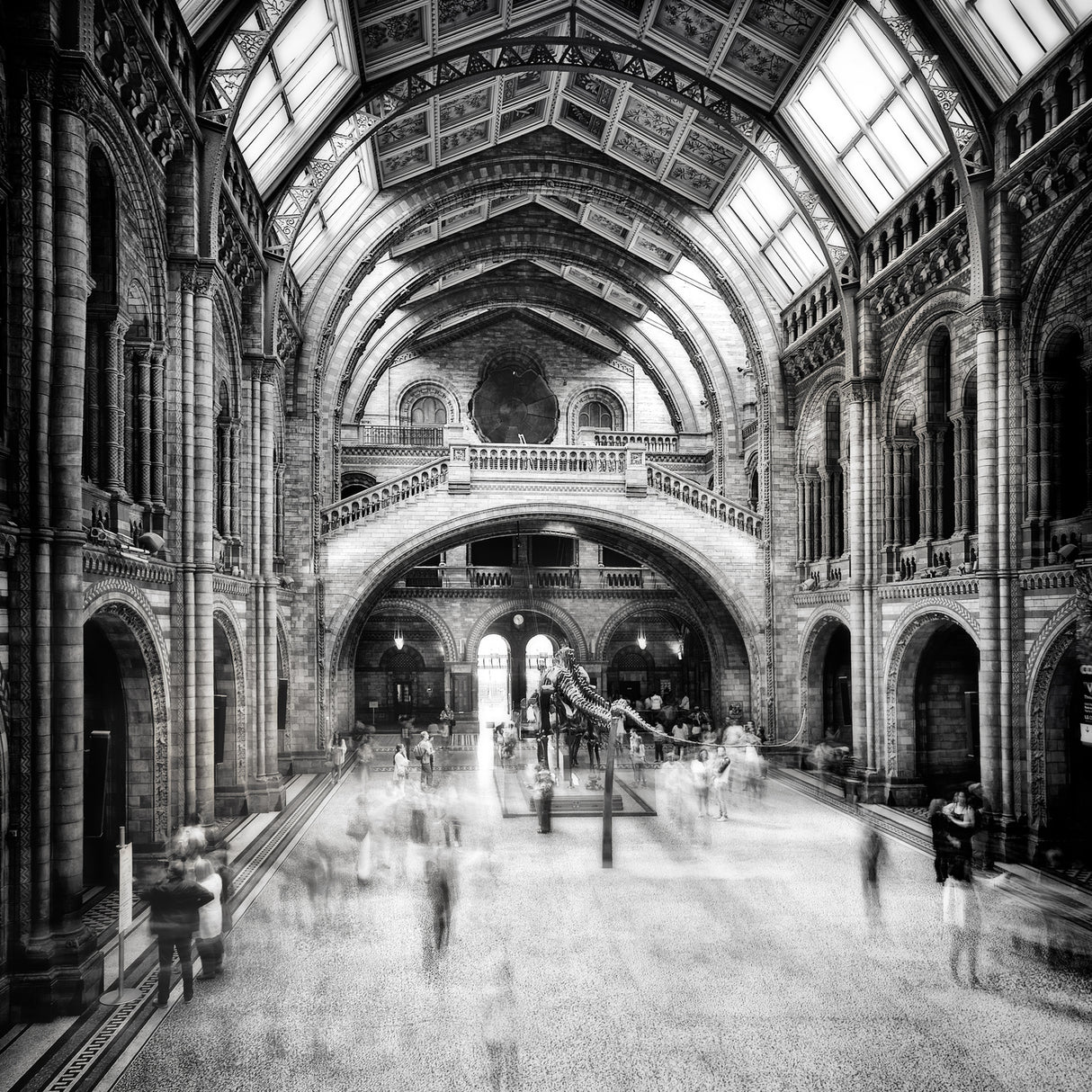 Natural History Museum of London Poster och Canvastavla