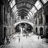 Natural History Museum of London Poster och Canvastavla