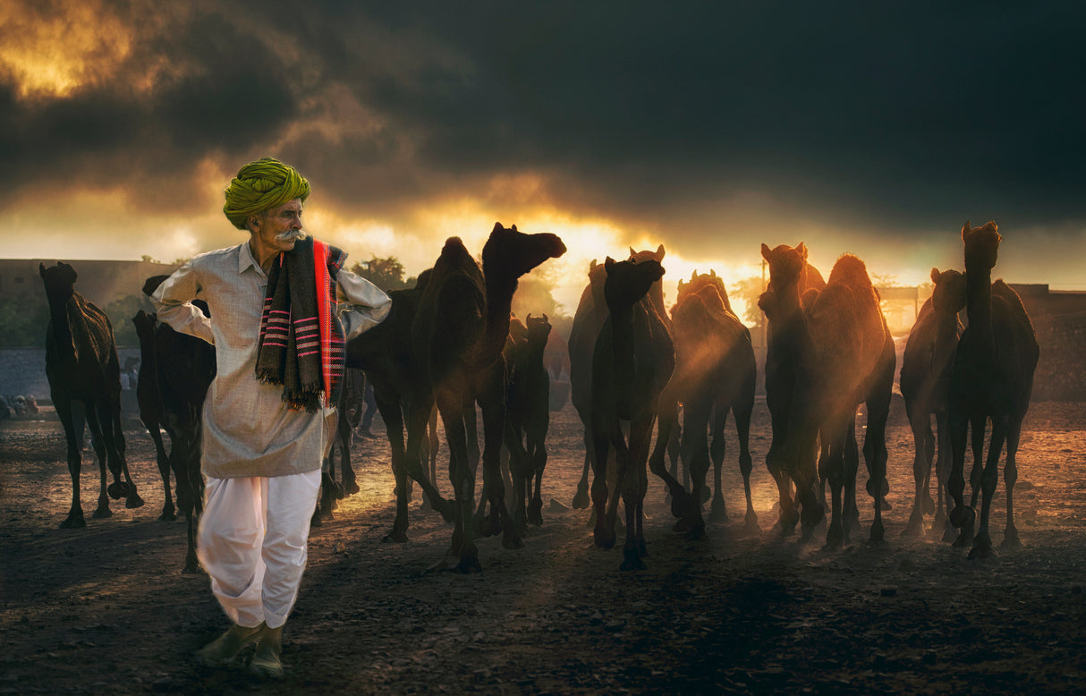 Light Stories Poster och Canvastavla