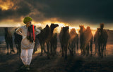 Light Stories Poster och Canvastavla