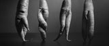 A still life with carrots. Nothing else... Poster och Canvastavla