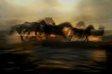 In the morning gallop Poster och Canvastavla