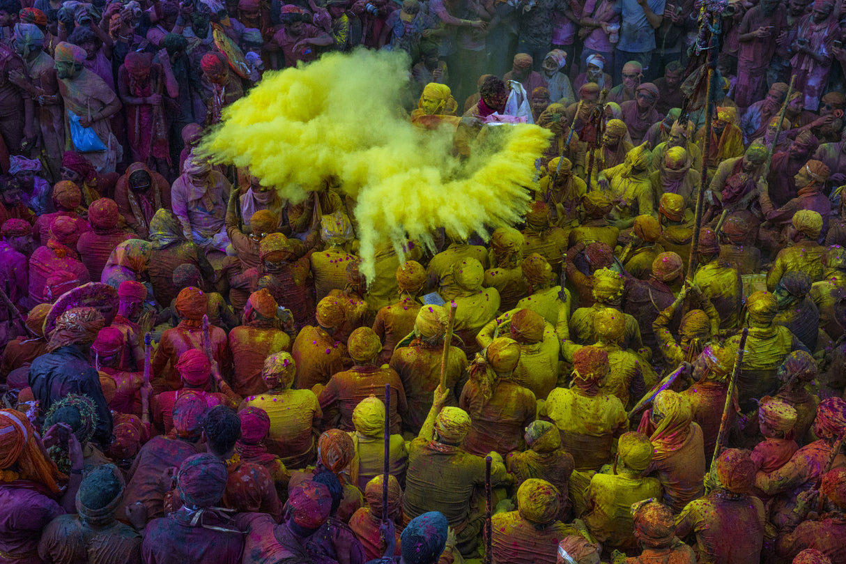 Yellow Blast at Holi Poster och Canvastavla