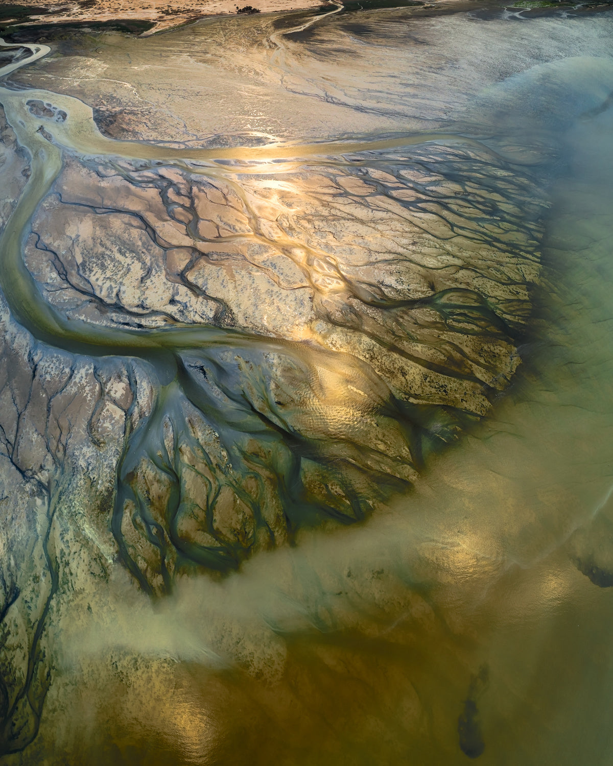 The Earth Veins Poster och Canvastavla