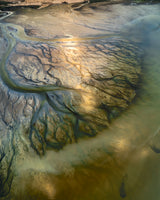The Earth Veins Poster och Canvastavla