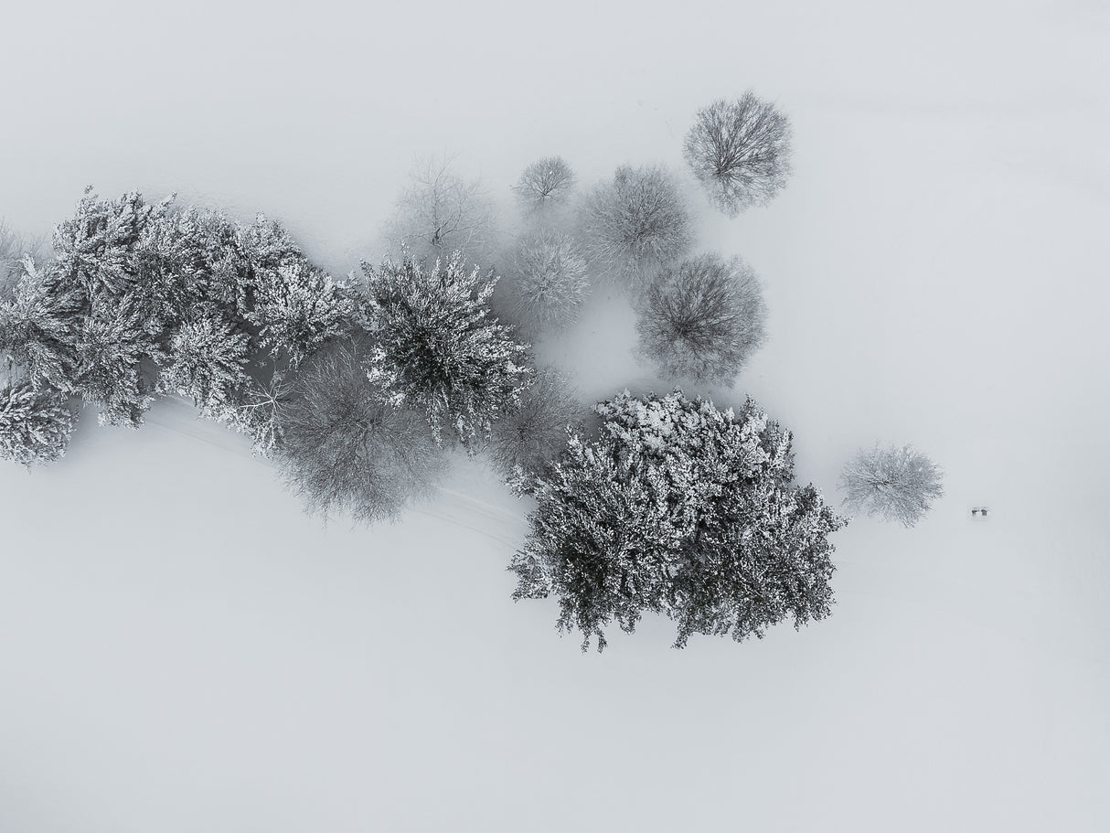 Winter's embrace: Ariel view of snowy trees Poster och Canvastavla