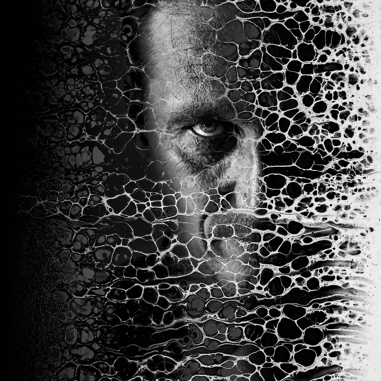 Between black and white. Poster och Canvastavla