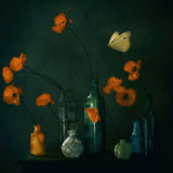 I Dreamt, I Dreamt Of Poppies (Dark mood) Poster och Canvastavla