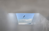 hope Poster och Canvastavla