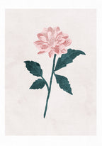 Dahlia Poster och Canvastavla