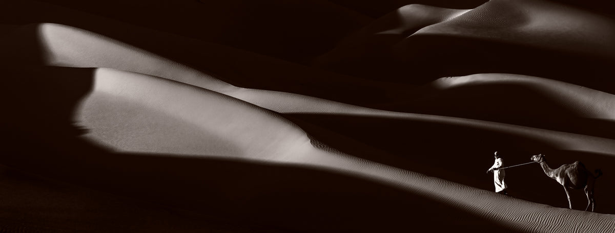 Desert Mood Poster och Canvastavla