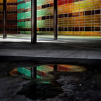 After the rain Poster och Canvastavla