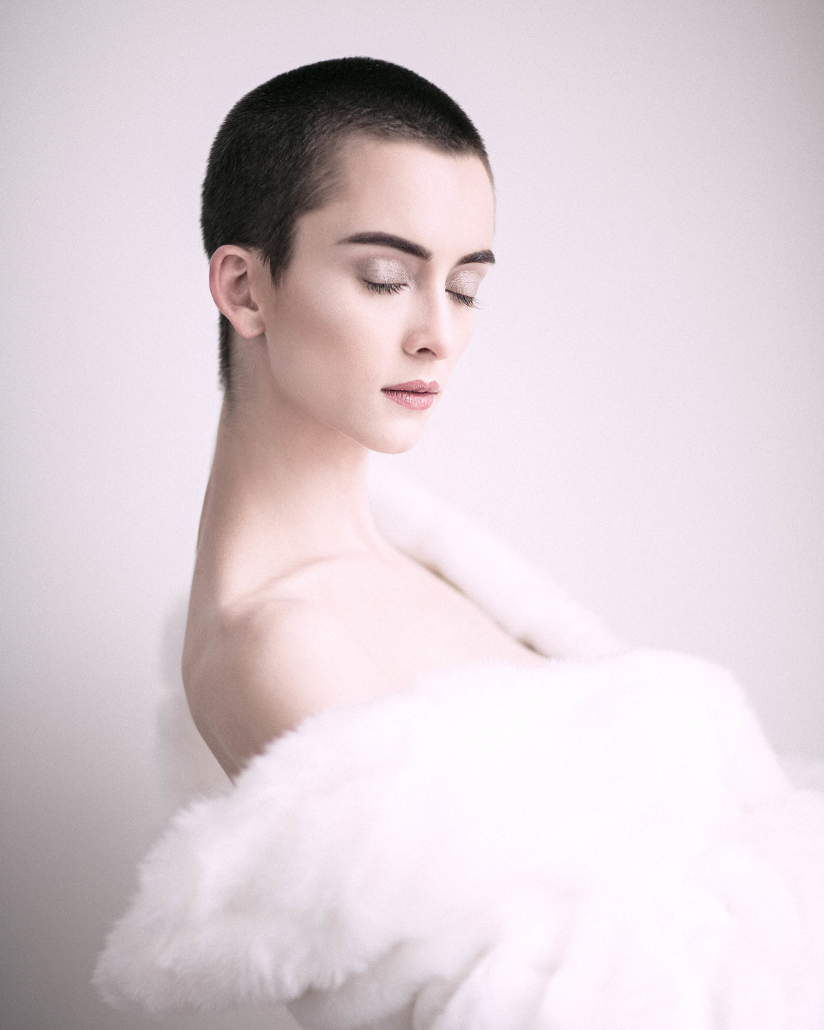 White Swan Poster och Canvastavla