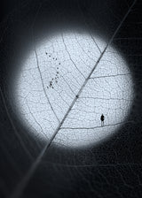 Veins Poster och Canvastavla