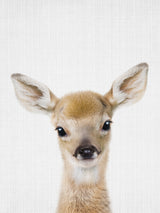 Peekaboo Baby Deer Poster och Canvastavla