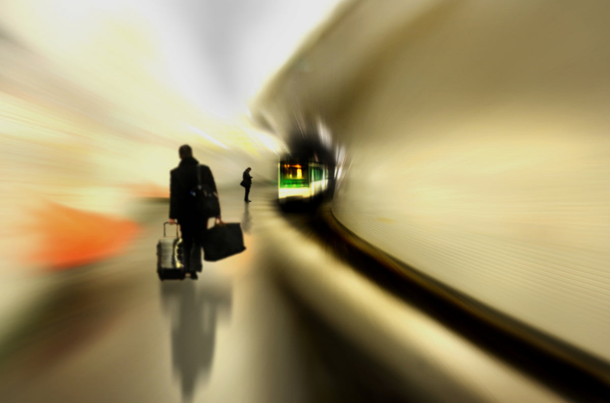 the traveller Poster och Canvastavla